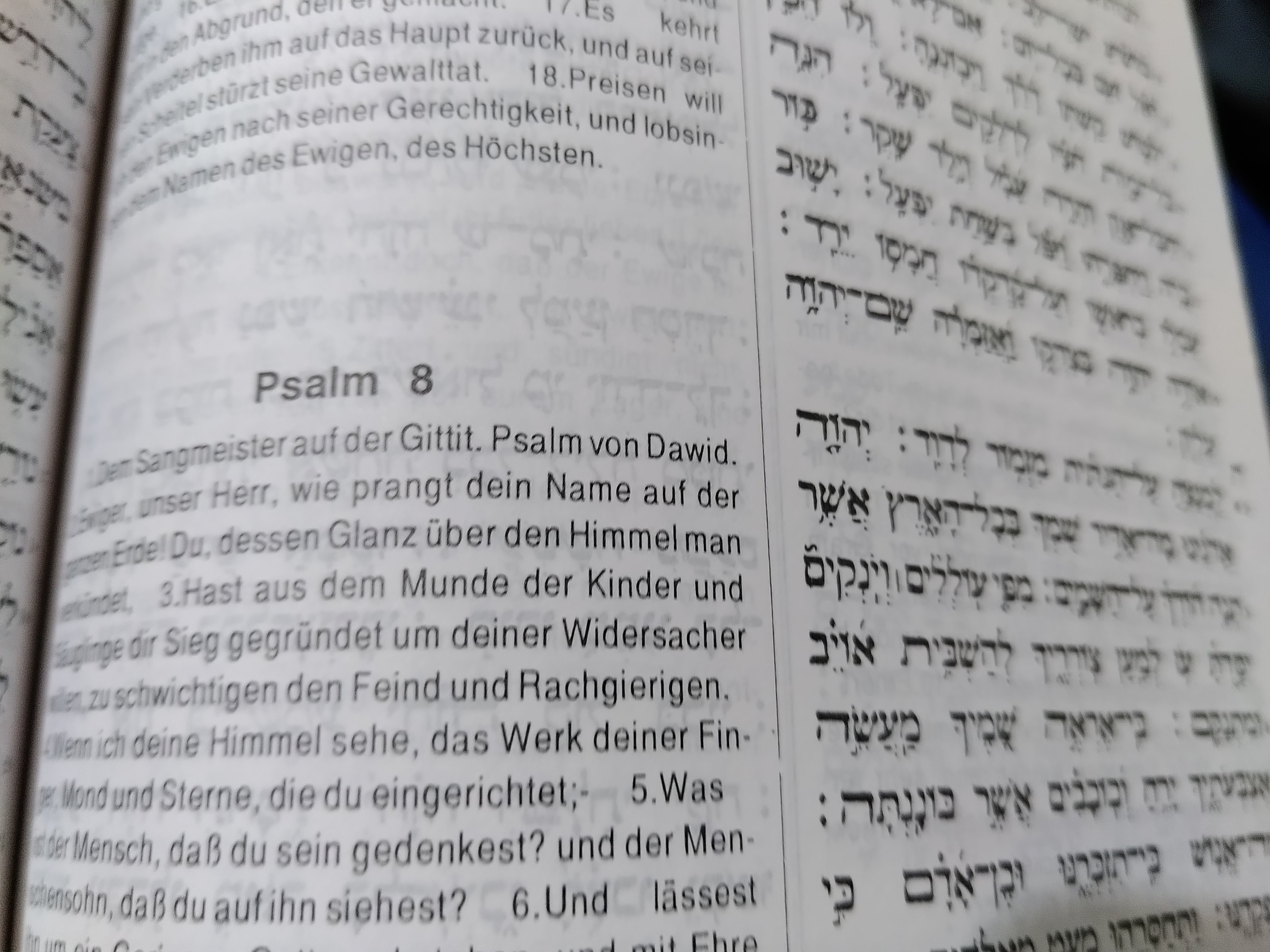 Psalm 8,2